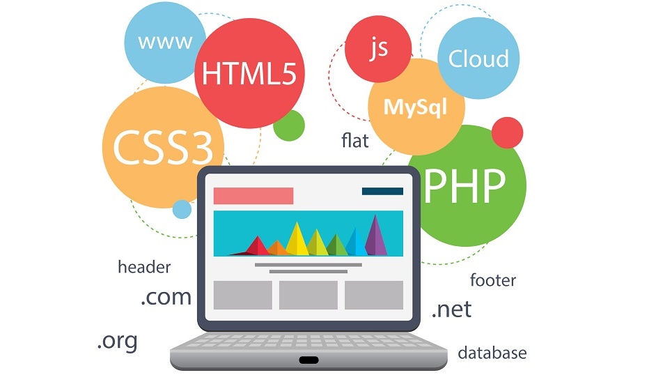 Web Design & Development